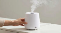 14 Best Grow Room Humidifier in 2026