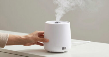 14 Best Grow Room Humidifier in 2026