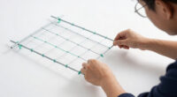 6 Best Greenhouse Cucumber Trellis System in 2026