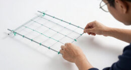 6 Best Greenhouse Cucumber Trellis System in 2026
