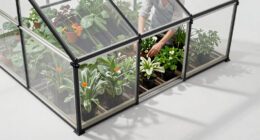 7 Best Large Greenhouse for Backyard Growers in 2026