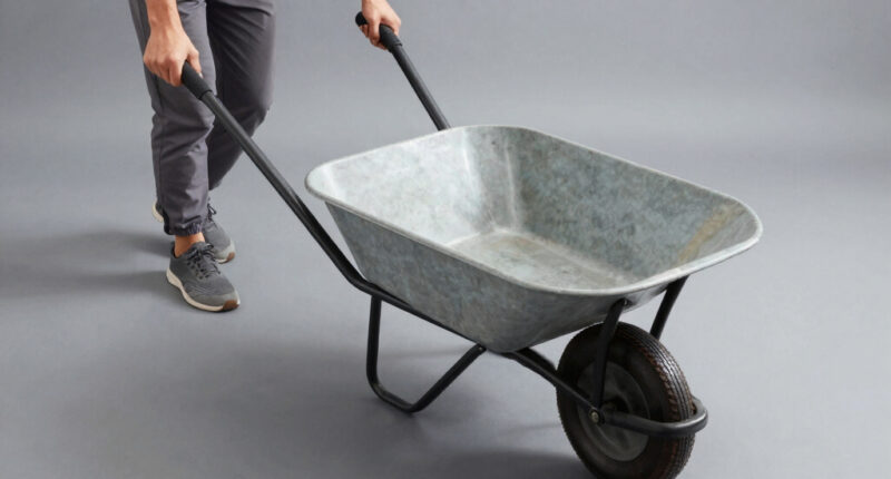 8 Best Electric Wheelbarrow for Gardeners in 2026