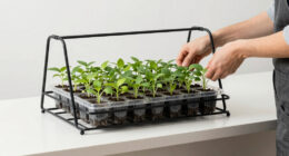 8 Best Greenhouse Propagation Racks in 2026