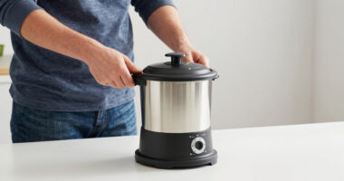 9 Best Electric Composter for Gardeners in 2026