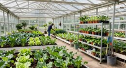 assess greenhouse size needs