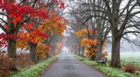 changeover periods over seasons