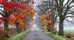changeover periods over seasons