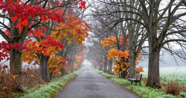 changeover periods over seasons