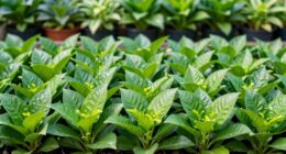 consistent care yields health