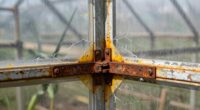 critical greenhouse components overlooked
