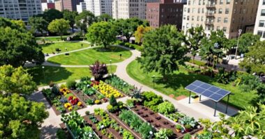 eco friendly planning benefits