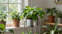 enhanced daily plant support