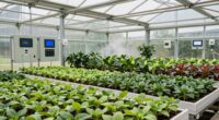 enhanced greenhouse climate control