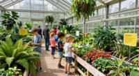 exciting greenhouse education initiatives