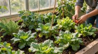 family composting greenhouse habit