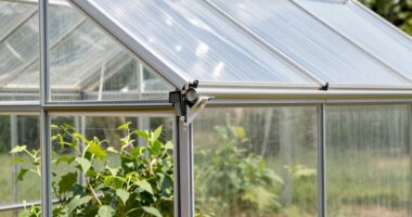 glass vs polycarbonate comparison