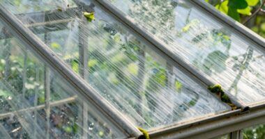 hidden greenhouse surface areas