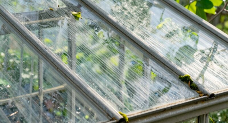 hidden greenhouse surface areas