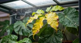 incorrect heating causes plant stress