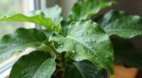 mindful observation enhances growth