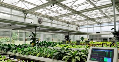 optimal greenhouse climate planning