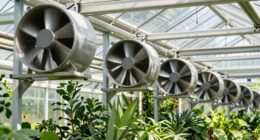 optimal greenhouse ventilation conditions