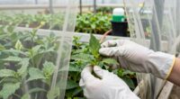 regular greenhouse maintenance checks