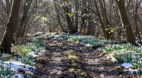 transitioning seasons with strategy