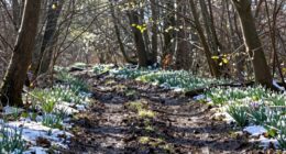 transitioning seasons with strategy