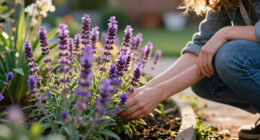 These 11 Purple Flowers Will Bloom All Summer With Almost No Effort – And Make Your Garden Look Like a Designer Planted It