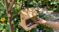 13 Best Bird Feeders in 2026
