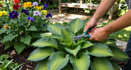 15 Best Perennial Plants in 2026
