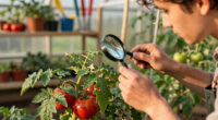 What’s Eating Your Plants? How to Identify Leaf Damage and Stop the Culprit Fast