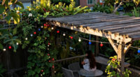 12 Best Patriotic Outdoor String Lights in 2026