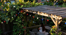 12 Best Patriotic Outdoor String Lights in 2026