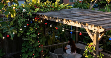 12 Best Patriotic Outdoor String Lights in 2026