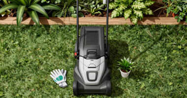 14 Best Cordless Lawn Mowers in 2026