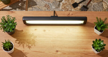 14 Best Grow Lights For Indoor Gardening In 2026