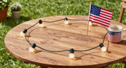 14 Best Patriotic Outdoor String Lights in 2026