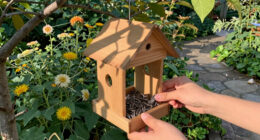 15 Best Bird Feeders in 2026