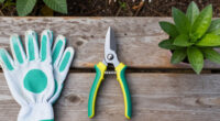 15 Best Garden Pruners in 2026