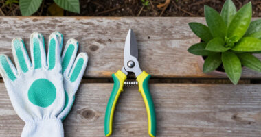 15 Best Garden Pruners in 2026