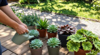 15 Best Low-Maintenance Garden Plants in 2026