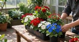 4 Best Patriotic Planters in 2026
