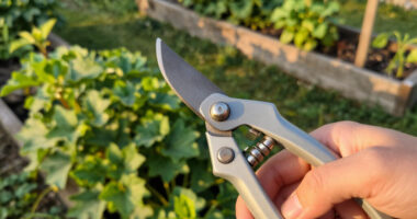 9 Best Low-Maintenance Gardening Tools in 2026