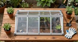 Greenhouse Kits For Beginners: A Back to school Guide