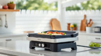 Ninja Foodi Pro 5-in-1 Indoor Grill: Perfect for Summer Grilling Indoors