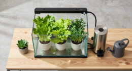 NYC Apartment Aquaponics