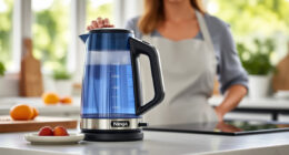 Stay Cool This Summer with the Ninja KT200BL Precision Electric Kettle