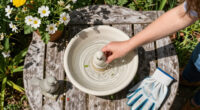 10 Best Bird Baths in 2026 — Guide to Choose the Perfect One